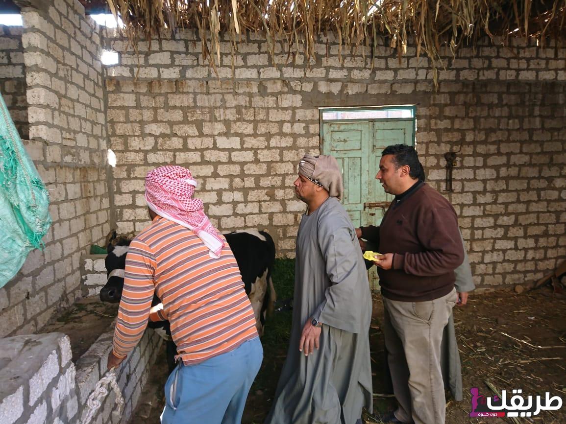 الثروة الحيوانية بسوهاج المراغة حملة تحصين ضد الحمى القلاعية وحمى الوادي المتصدع 2024 3 WhatsApp Image 2024 08 14 at 4.06.33 PM 1